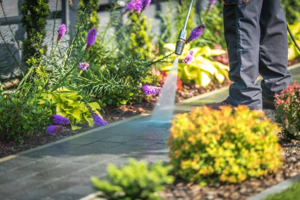 Professional Pressure Washing Services in St Clair, MO